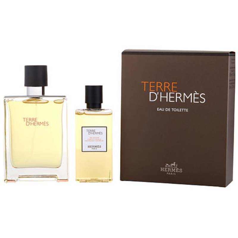 Hermes Terre Eau De Toilette 100ml Spray 2 Piece Set